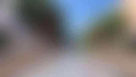 El Paseo de Almería encara su recta final tras un año de transformación