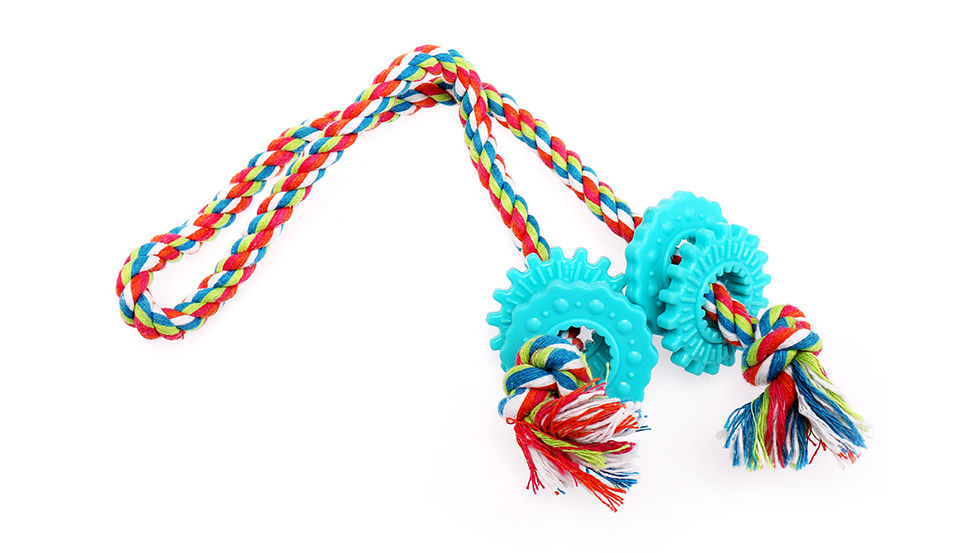Coloful rope with 4 TPR rings