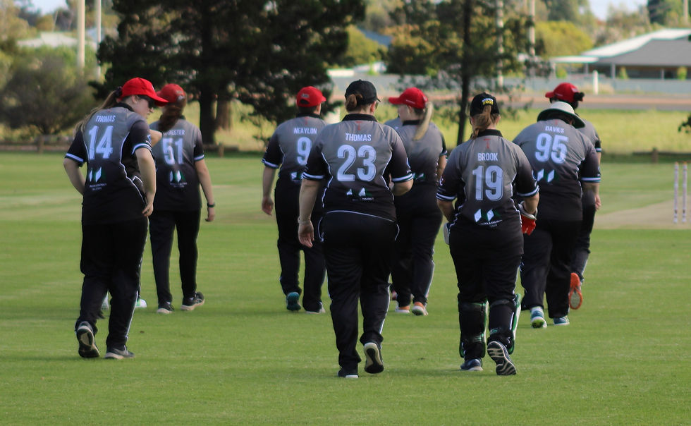 313344023_535636071903990_7257143196715560581_n