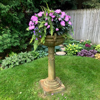 Show Us Your Plants!