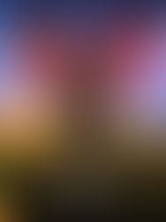                    A culpa é criativa.
                      Bert Hellinger    