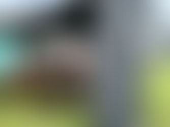 Raise your spirits at March Summer Festival, with Fenspirits, this Saturday and Sunday.