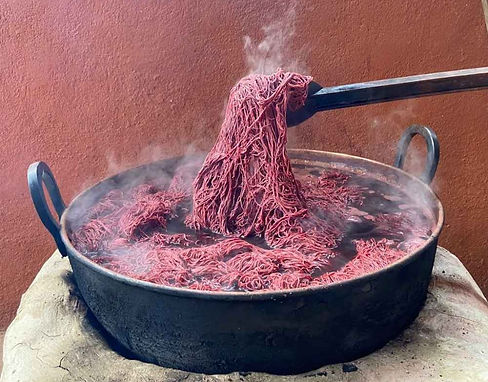 Tingimento natural com tingui.jpg