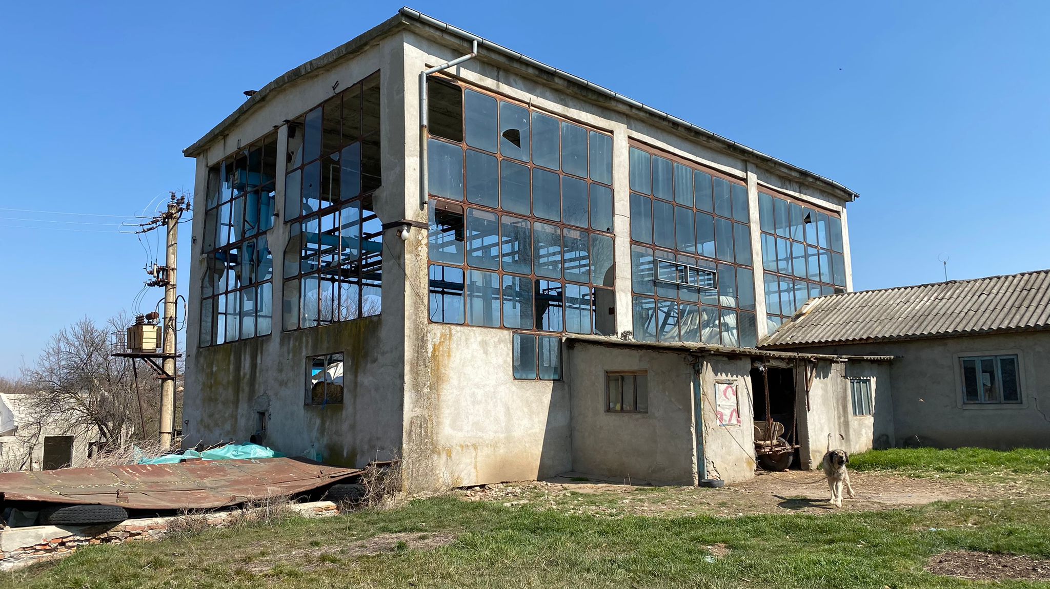 a placeholder image.