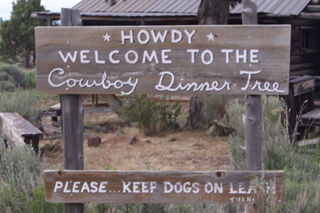 Cowboy2_17