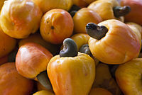 ree