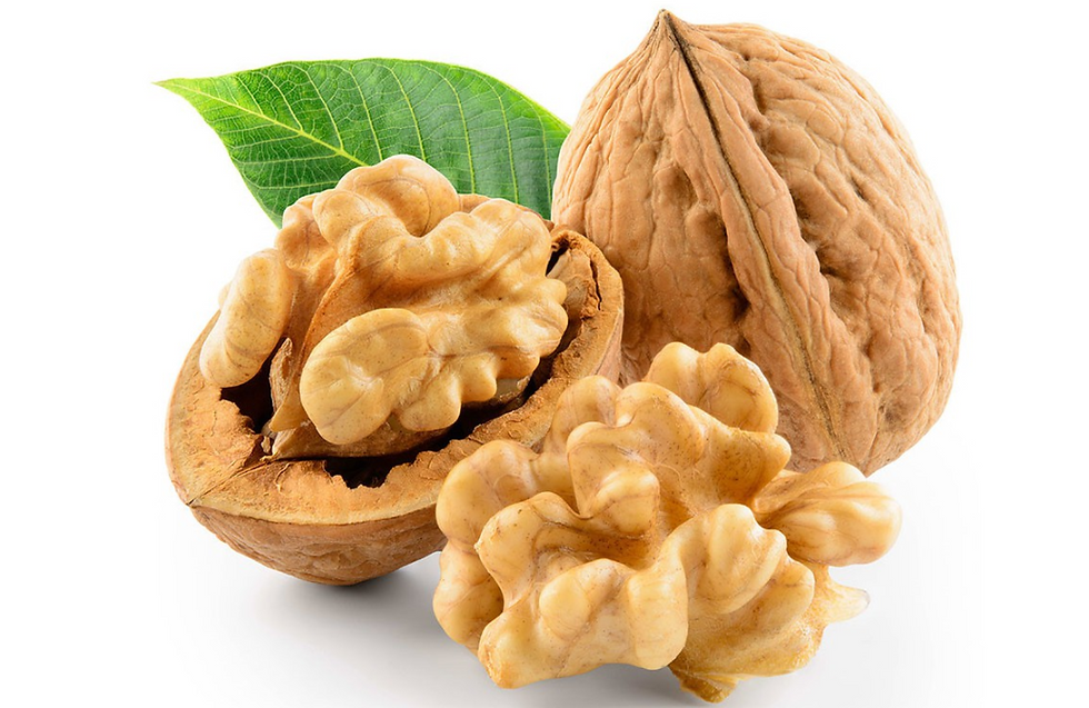 Ảnh quả óc chó
