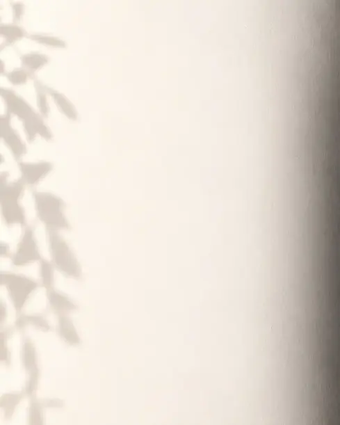 main section background.webp