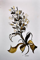 Flower illustration Luisa Manea