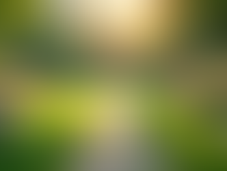 Holistic Medizin: Heilmethoden für Mensch und Tier