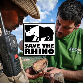 rino-cons1.jpg