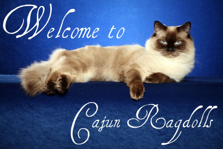 Cajun_Ragdolls_Logo.jpeg