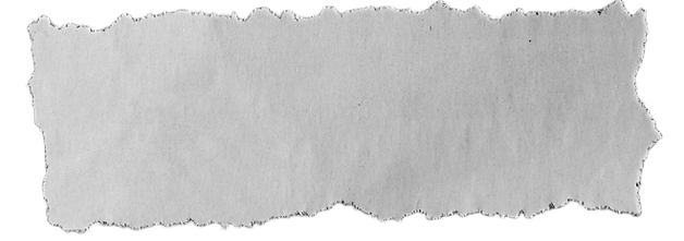 paper-tearsArtboard-1.png