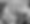 Edit_SenateDemsFlickr_Stop_the_Bans_rally_(47858792102).png