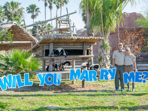 Zoo Proposal | Ashley + Mitch | March 2021
