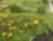 thumbnail_IMG_6547.jpg
