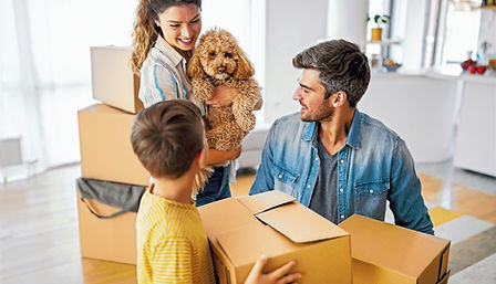 Home Insurance