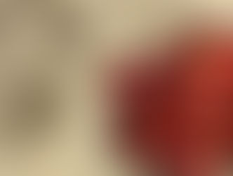 Gambar sawo kecik (manikara kauki) dari buku Hortus Indicus Malabaricus karangan Hendrik Adriaan van Rheede tot Drakenstein, 1683. (Missouri Botanical Garden, St. Louis, USA).