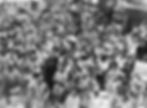bg-gray.jpg