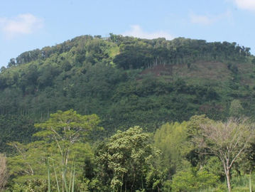 Gunung Katu di Desa Sumbersuko, Kecamatan Wagir, Kabupaten Malang. (wagir.malangkab.go.id).