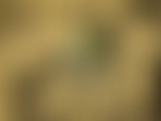 Oto Iskandar di Nata bersama keluarga. (Sinar Harapan, 29 Maret 1974/Perpusnas RI).