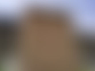 Monumen Peringatan Pembantaian Tlatelolo di Plaza de las Tres Culturas (CIPDH-UNESCO)Monumen Peringatan Pembantaian Tlatelolo di Plaza de las Tres Culturas. (CIPDH-UNESCO).