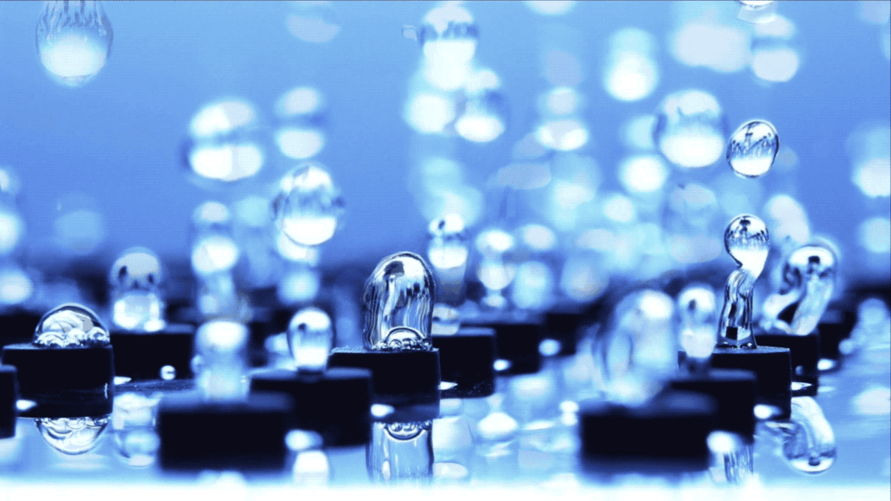 LIQUID IN MOTION