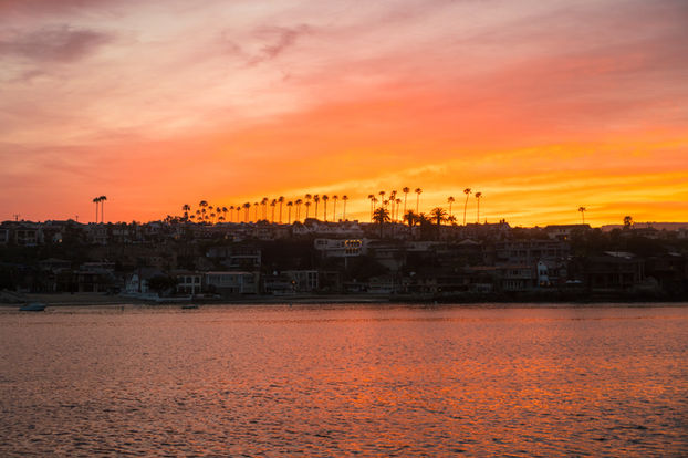 Aerial drone photo from Newport Beach harbor at sunrise with Corona Del Mar palm trees.