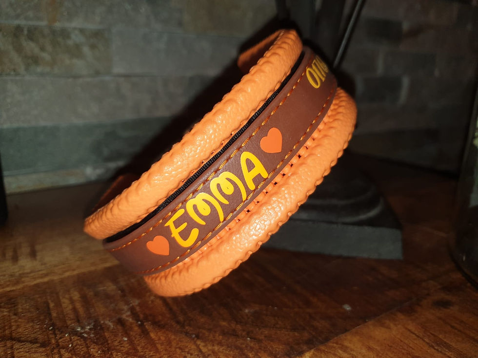 Miniaturbild: Hundehalsband 25mm ( personalisierbar)