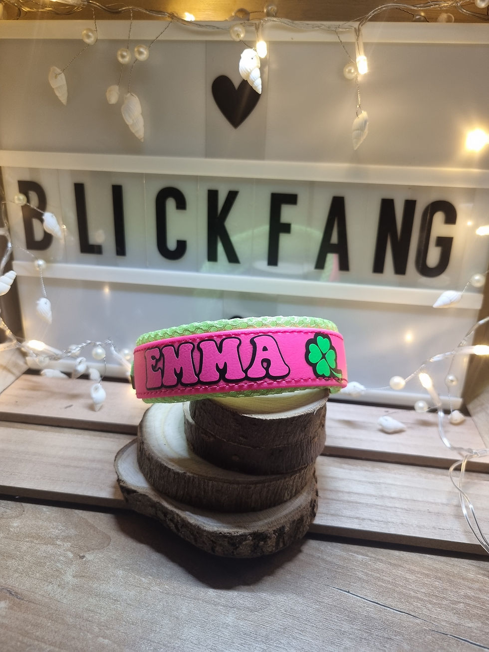 Miniaturbild: Hundehalsband 19mm ( personalisierbar)