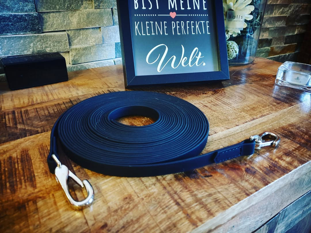 Karabiner für Zügel und Co