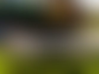 A green tractor sprays CropBioLife on crops in a field with a yellow tank and red spray arms. Mist creates a hazy effect, evoking an agricultural scene.