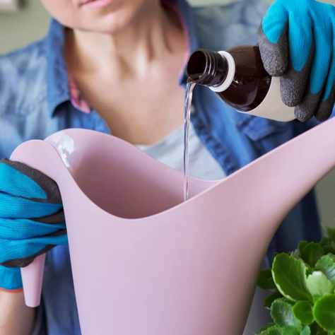 Moving Away from Synthetic Nutrients in Your Garden