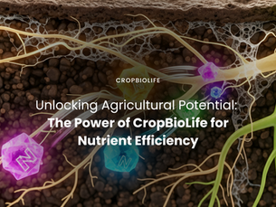 How plants absorb Nutrients and Nitrogen move through soil.