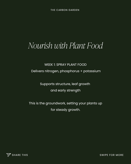 30-Day Garden Resilience Plan showing a four-week gardening rhythm using CropBioLife Activator, Plant Food, and Plant Tonic from The Carbon Garden Program to support soil vitality and natural pest resilience.