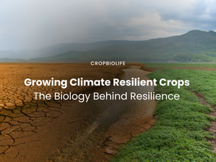 Growing Climate Resilient Crops with CropBioLife