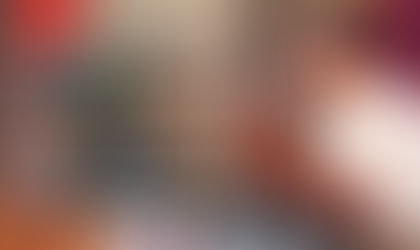 No participó México en captura o entrega del Mayo: Rosa Icela