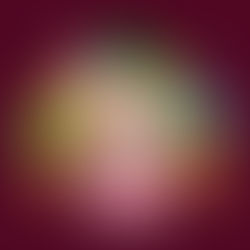 Implementará Seguridad Vial operativo especial por desfile del 366 aniversario de Ciudad Juárez