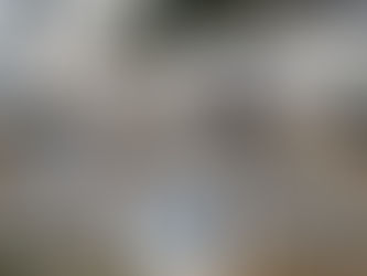 Gobierno Municipal mantiene apoyo a familias afectadas por crematorio en Juárez