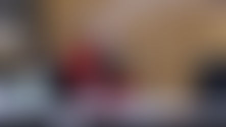 Aprueba Cabildo exhorto para endurecer sanciones por maltrato animal