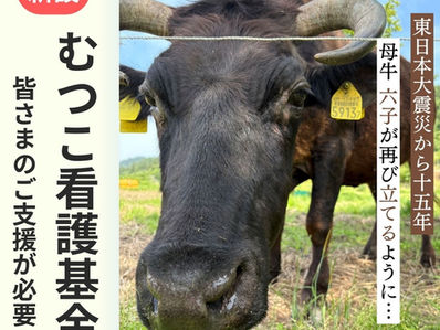 むつこ看護基金を新設しました