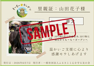 スクリーンショット 2026-06-07 152808.jpg