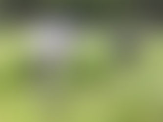 【支援報告】2024年4月～12月寄付金支援者のご報告