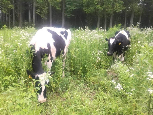 【支援報告】2024年4月～12月寄付金支援者のご報告