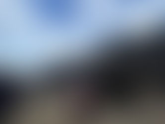 【活動報告】2025.12.29一日の作業（餌・水やり、大熊牛舎修繕）