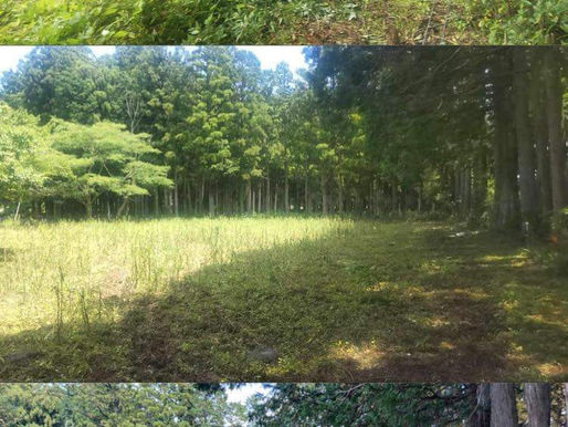 富岡 2023年度 農地ビフォーアフター