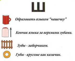 ш.png