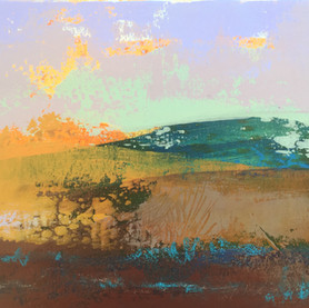 Curragh Landscape 9