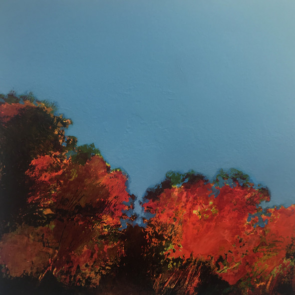 Canopy 6