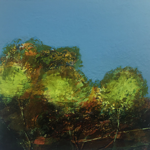 Canopy 7